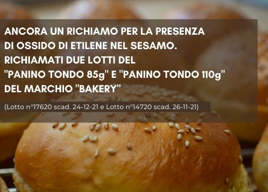 panini sesamo.jpg